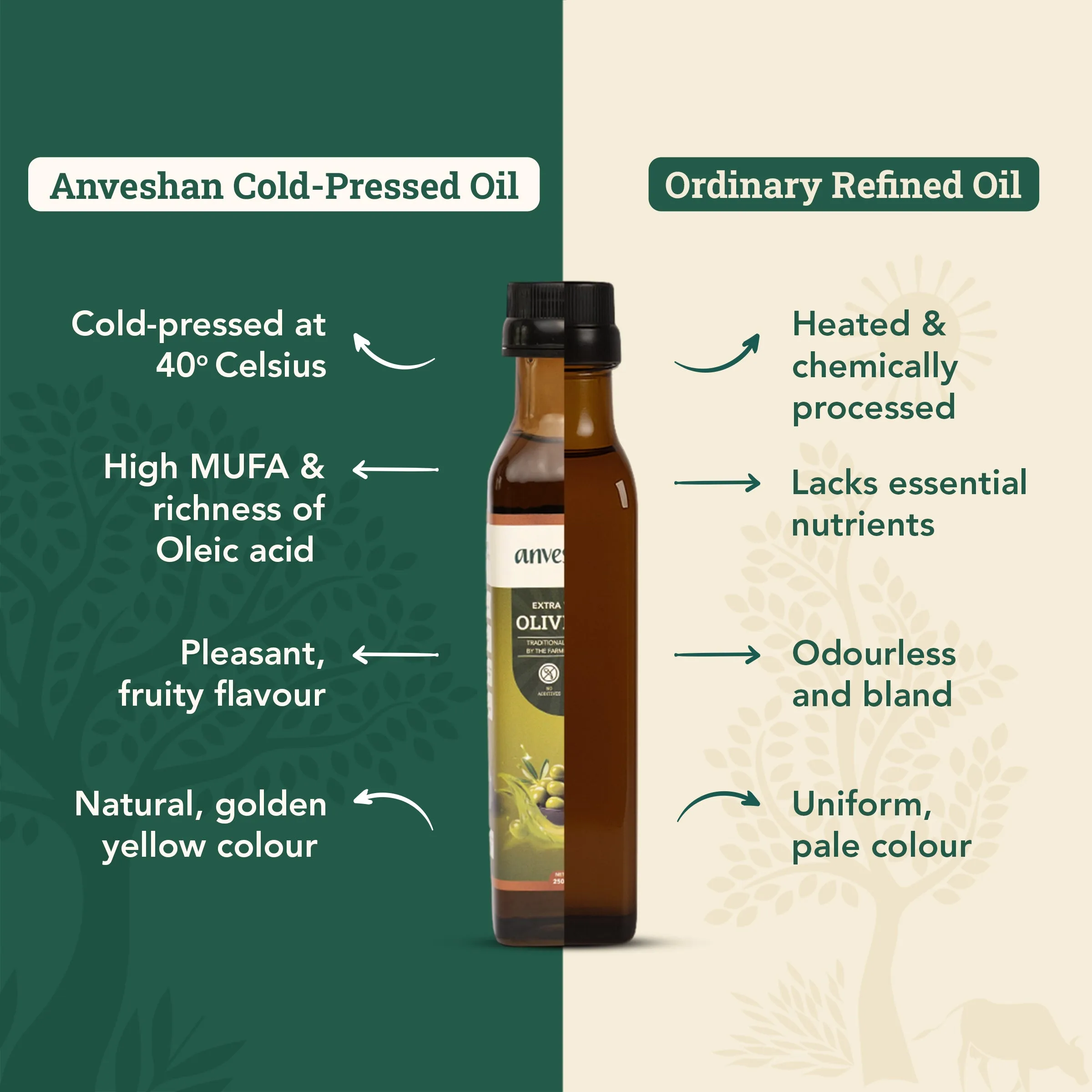 Extra Virgin Olive Oil