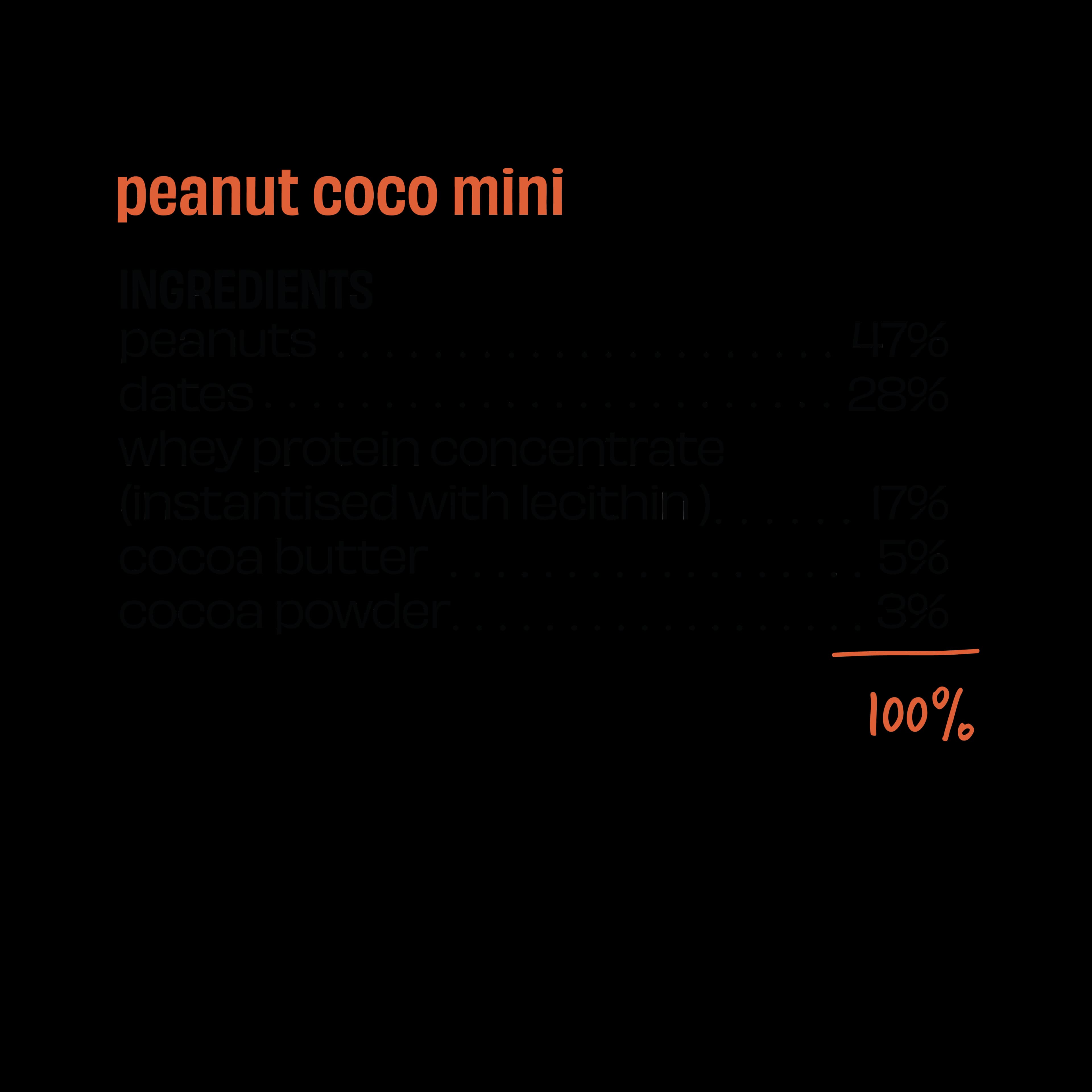 Mini Protein Bars, Peanut Party, Peanut Party